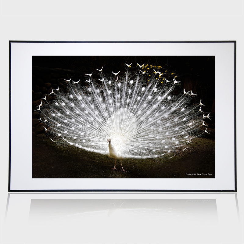 알루미늄액자16x20in(블랙)소